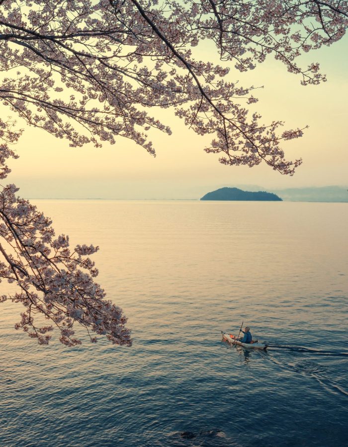 kanenori-landscape-9802950